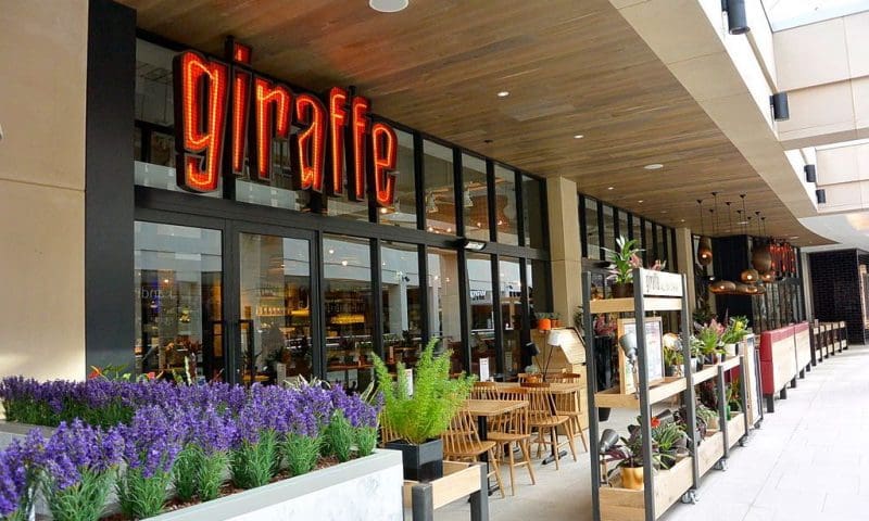 Giraffe and Ed’s Easy Diner CVA closures approved