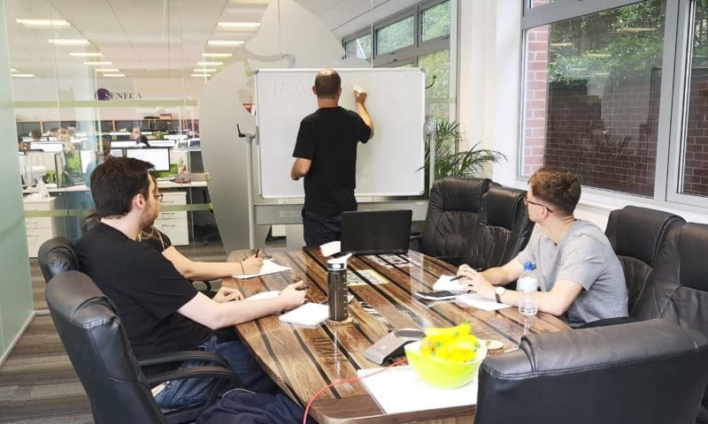 Gorilla Accounting appoints three new accountants