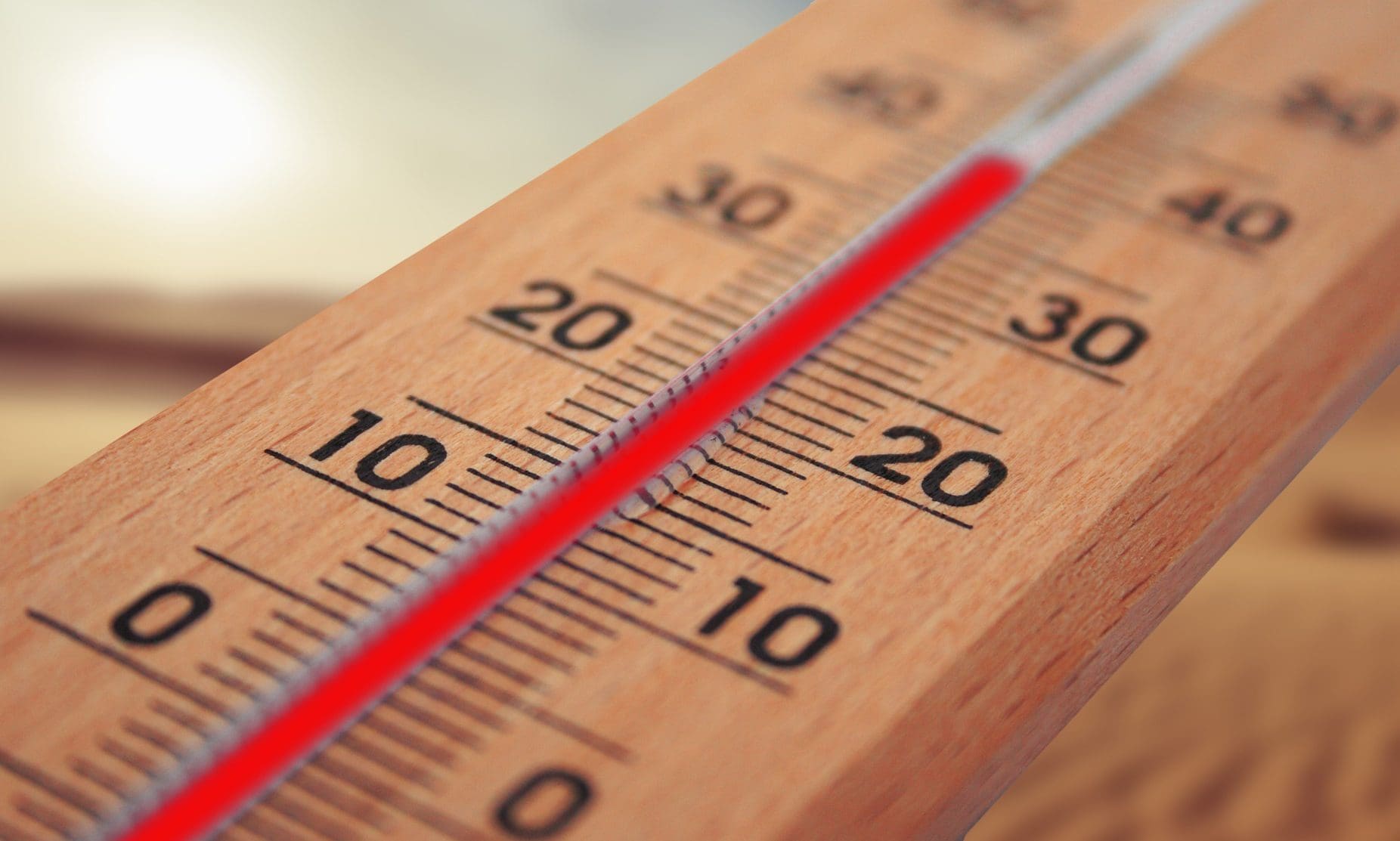 FRC assesses company and auditor responses to climate change