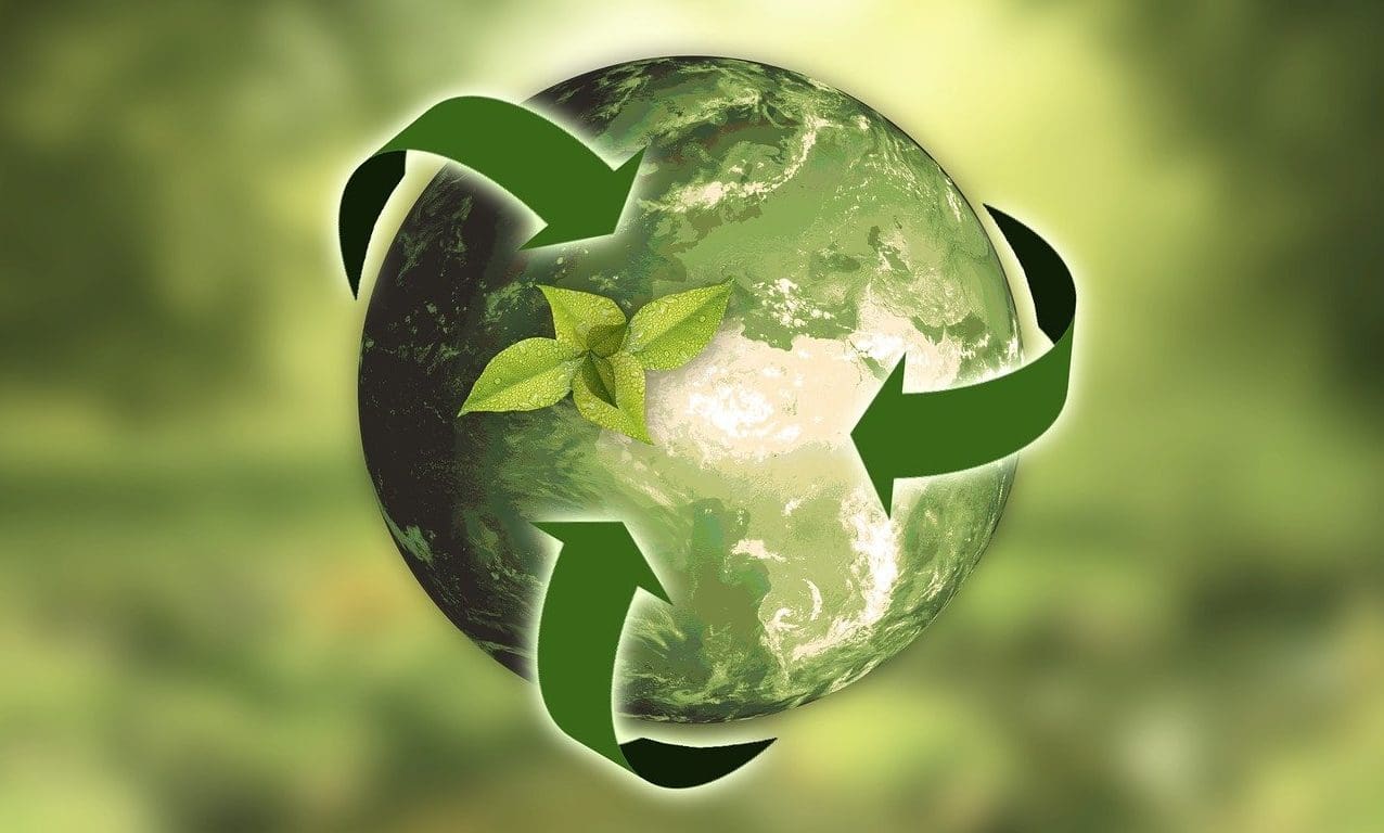 IFRS Foundation consults on sustainability reporting standards