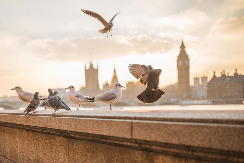 HMRC must ‘urgently’ address gap in pandemic support, says PAC