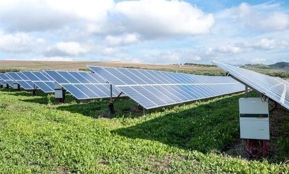 EY announces 10-year carbon PPA in UK