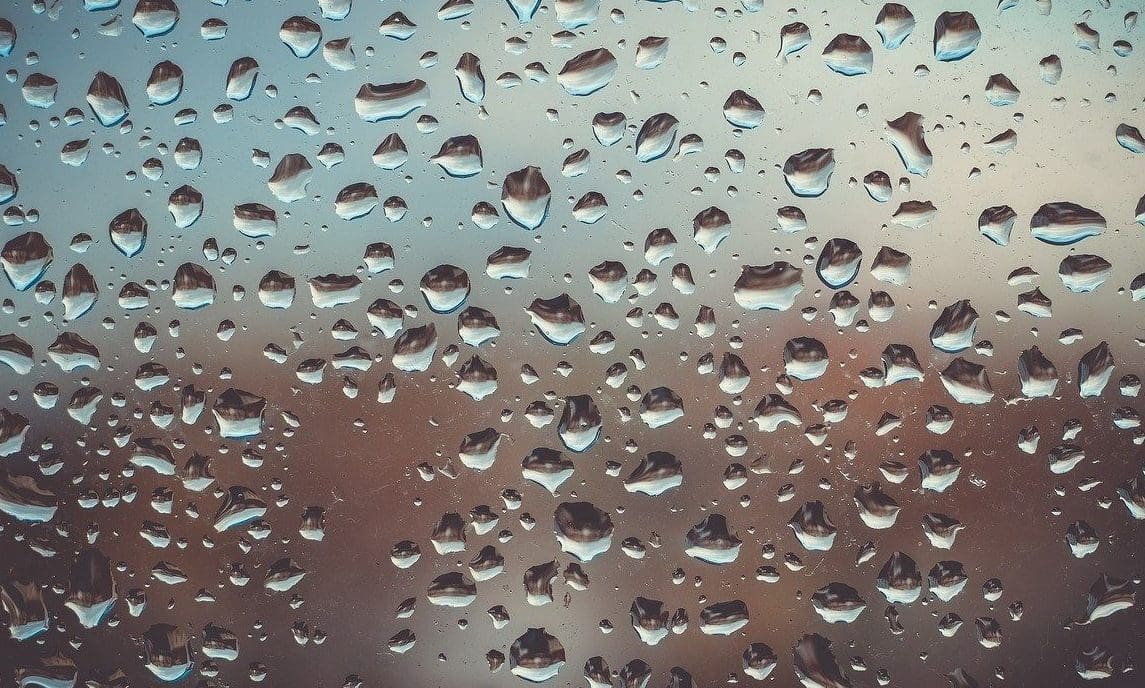 Window cleaning boss banned after failing to account for £1.7m