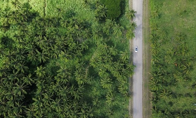 Sustainable ambition vs. action in the financial services sector