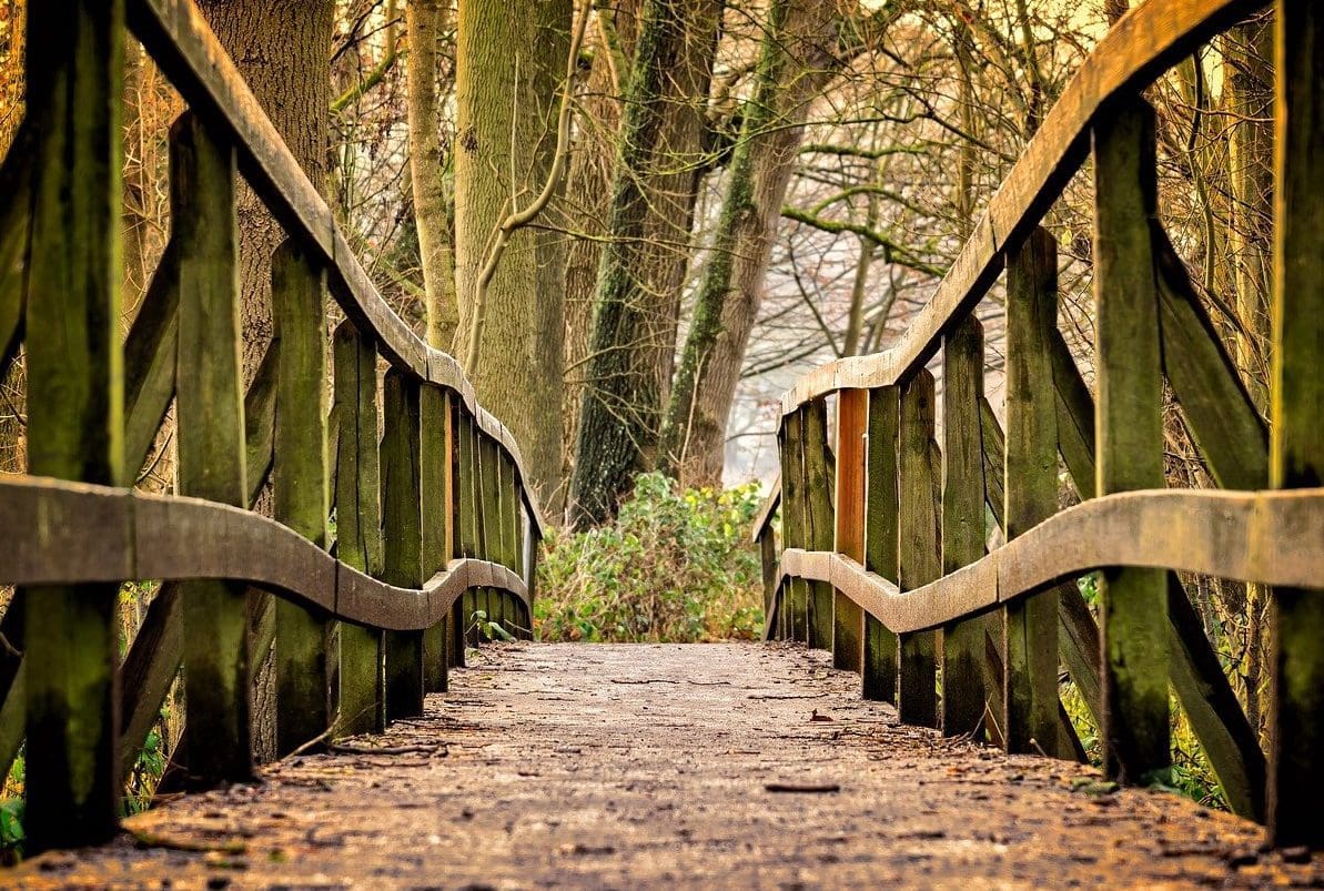Kreston Reeves team to hike 50km as part of fundraising challenge