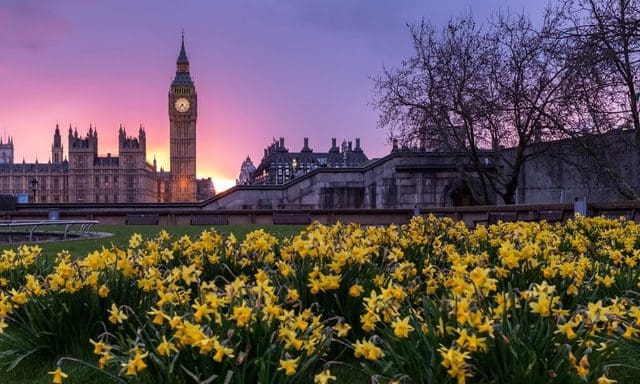Can reform fix the UK’s auditing crisis?