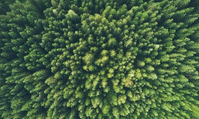 ACCA hosts global audit sustainability event