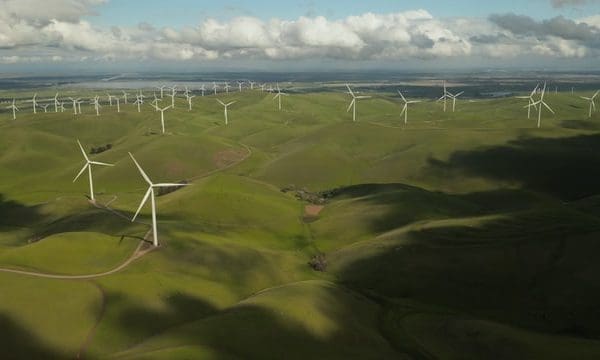 Sustainability a priority for accountancy profession, says IFAC