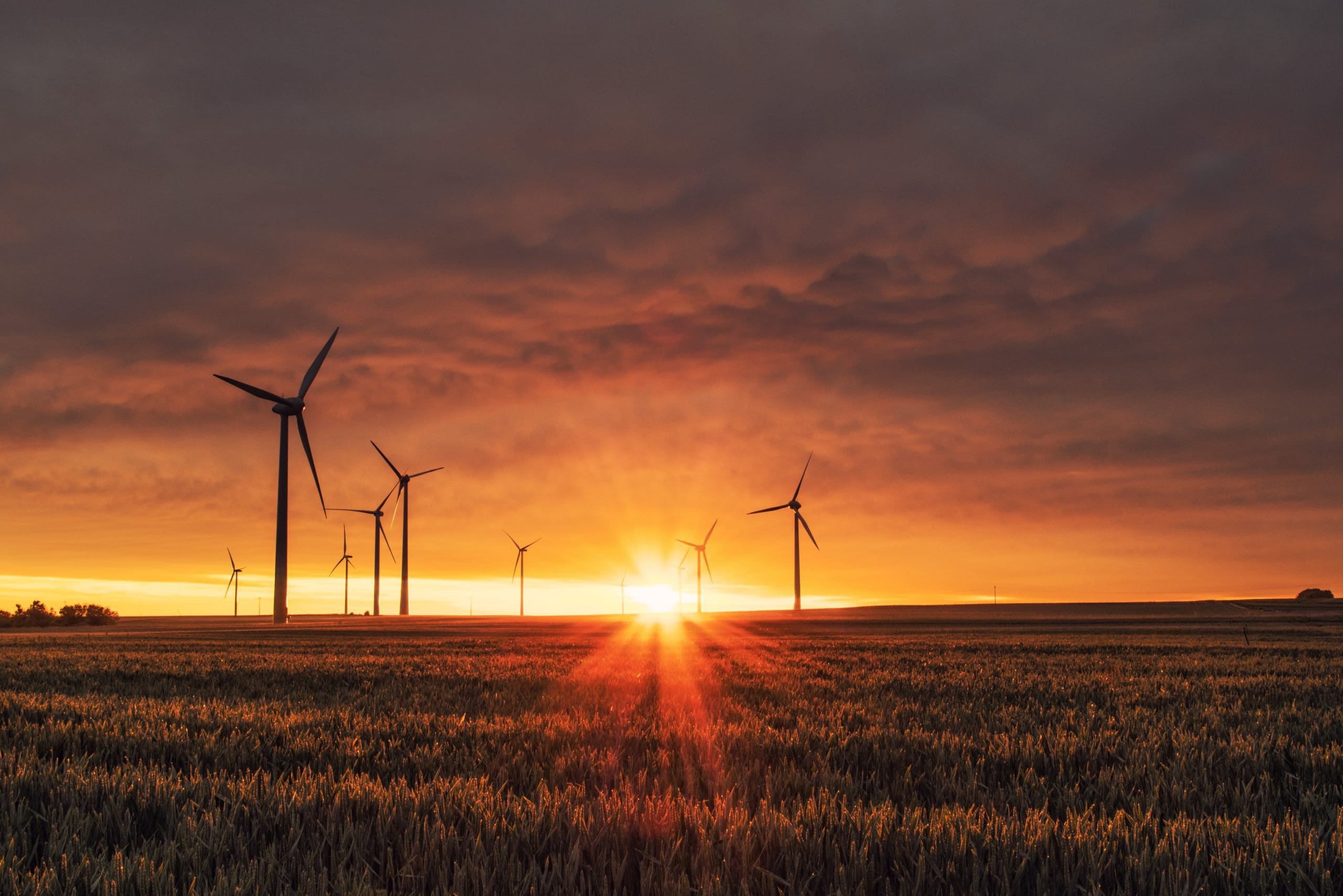 ICAS joins Prince of Wales’ Terra Carta