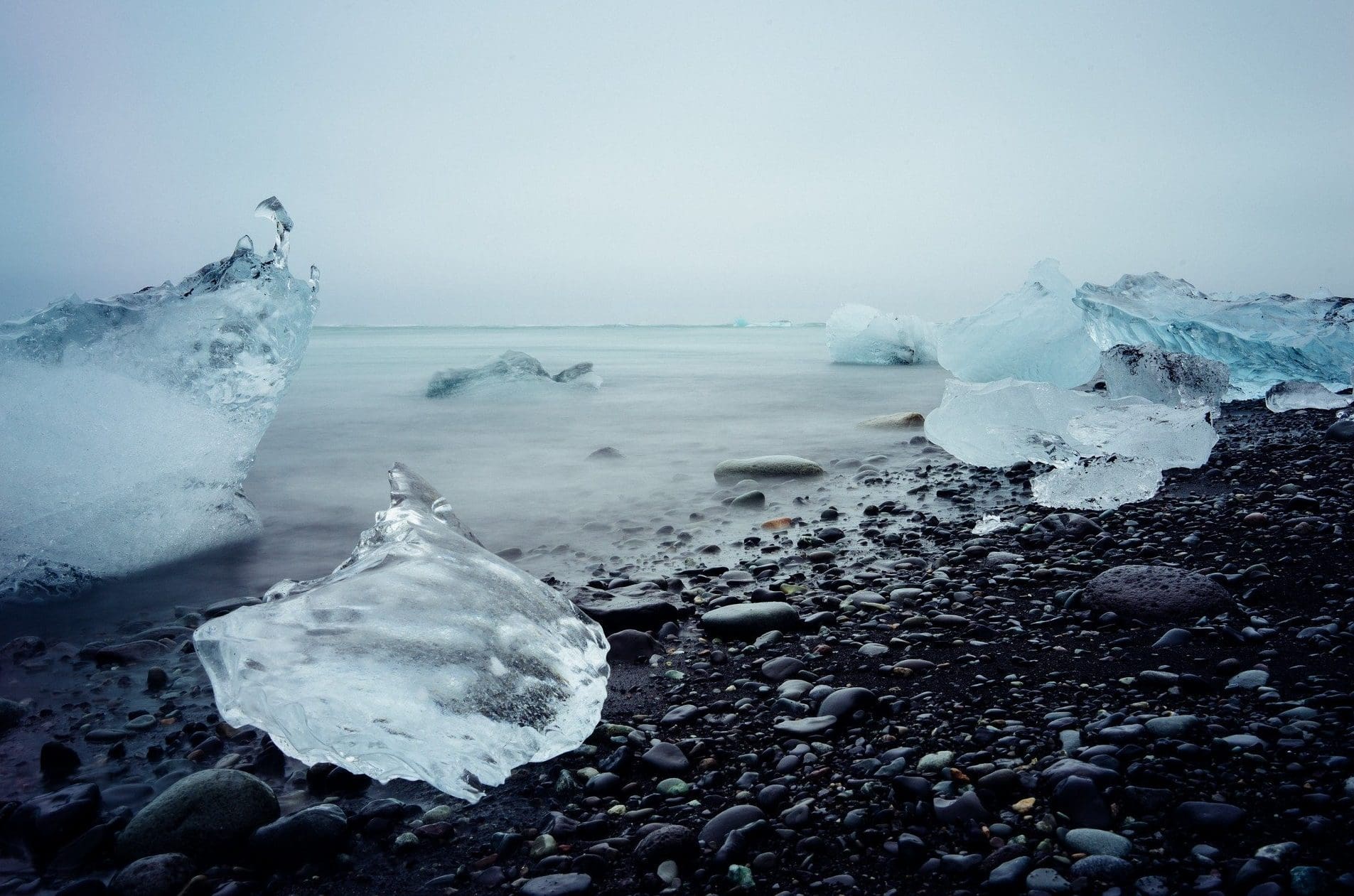 EY Scotland helps launch new climate initiative