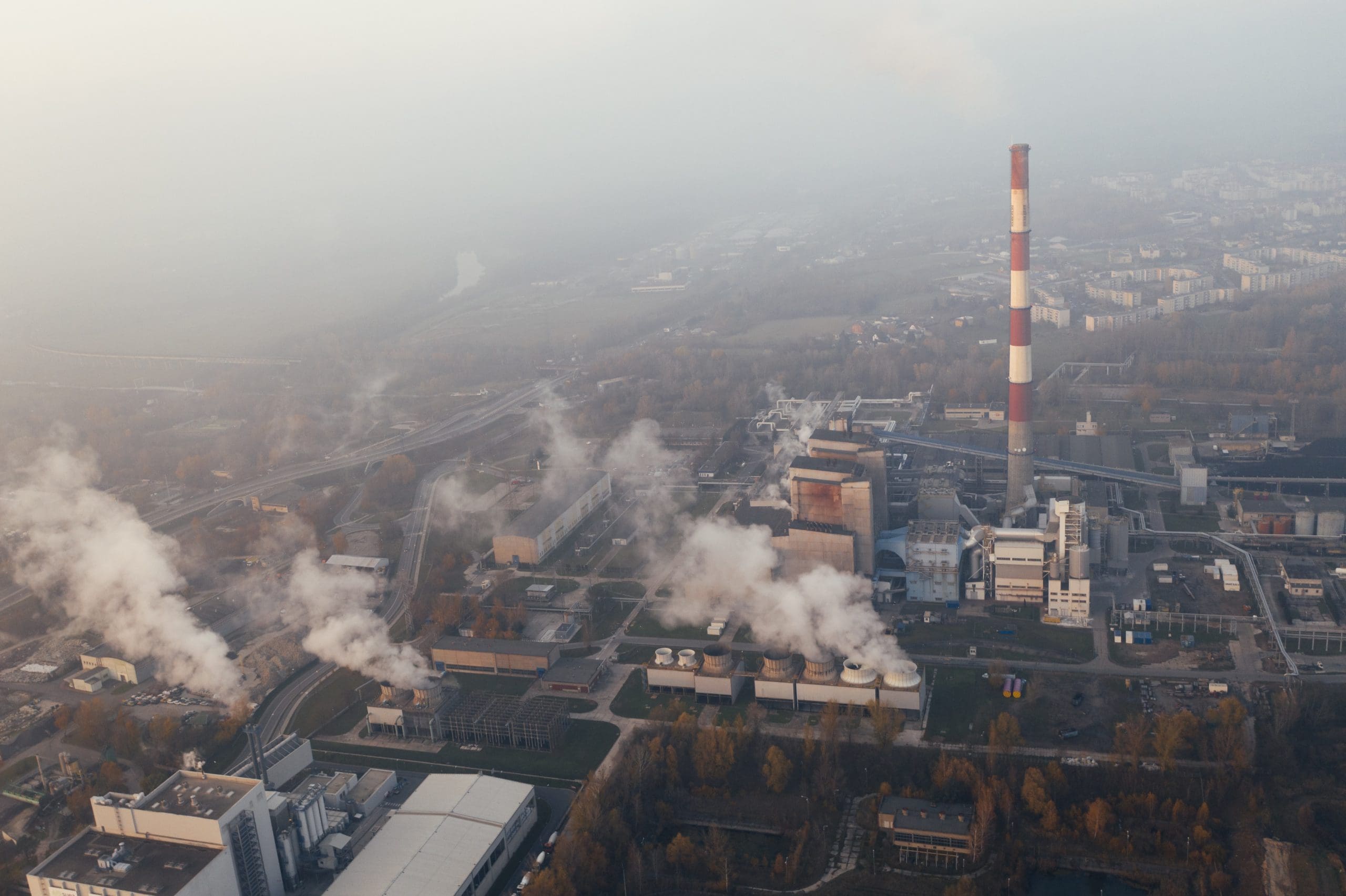 ACCA calls for a global minimum price of carbon