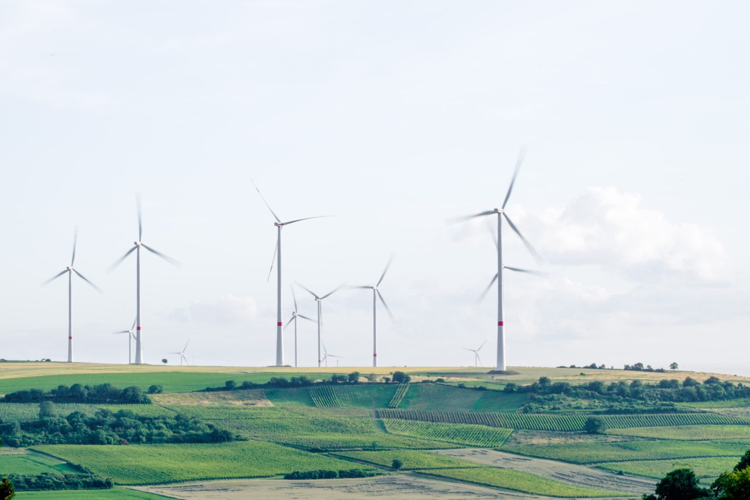 Deloitte and ABTA launch climate change project