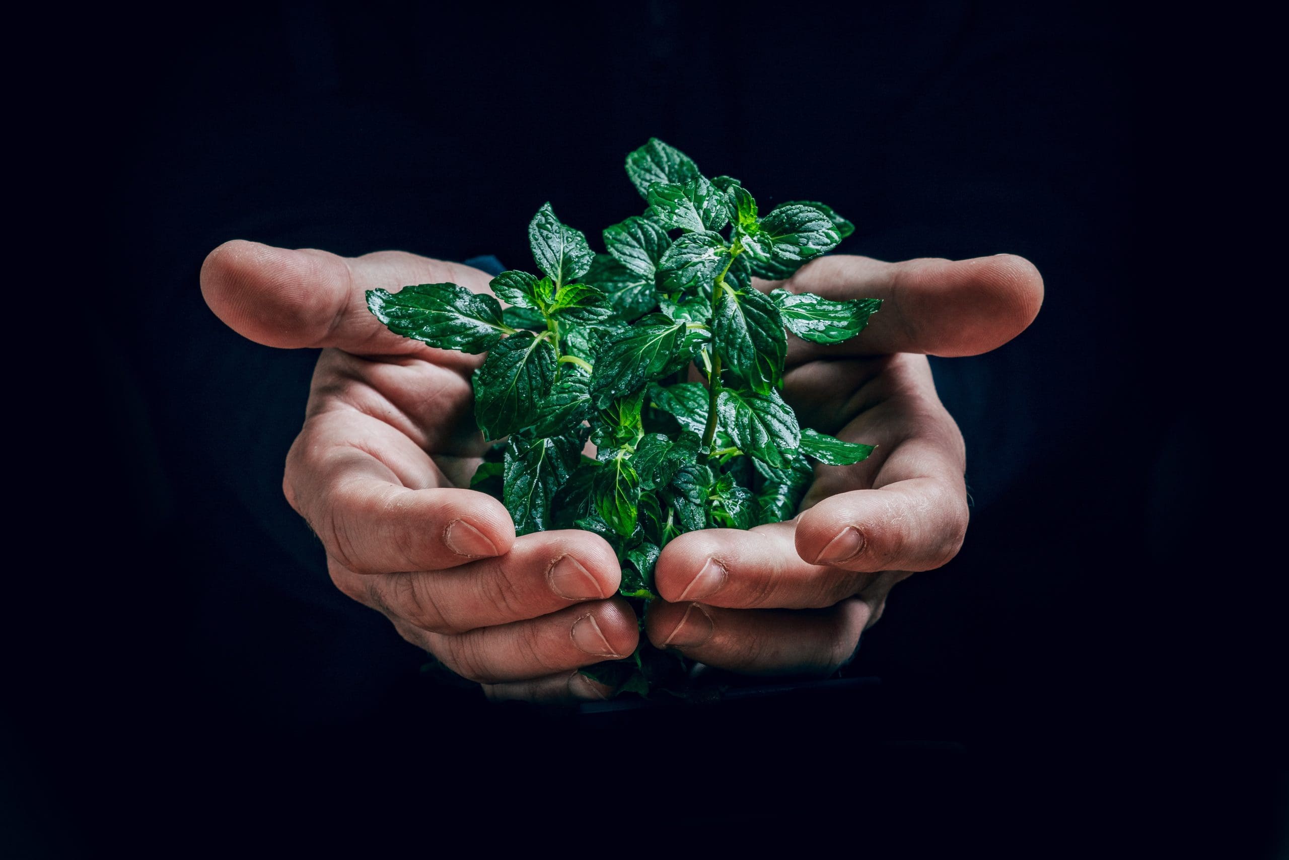 Deloitte and IEMA launch report to ‘build green skills’ across UK workforce