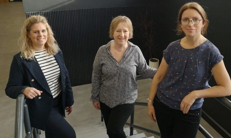 DSW expands business planning team