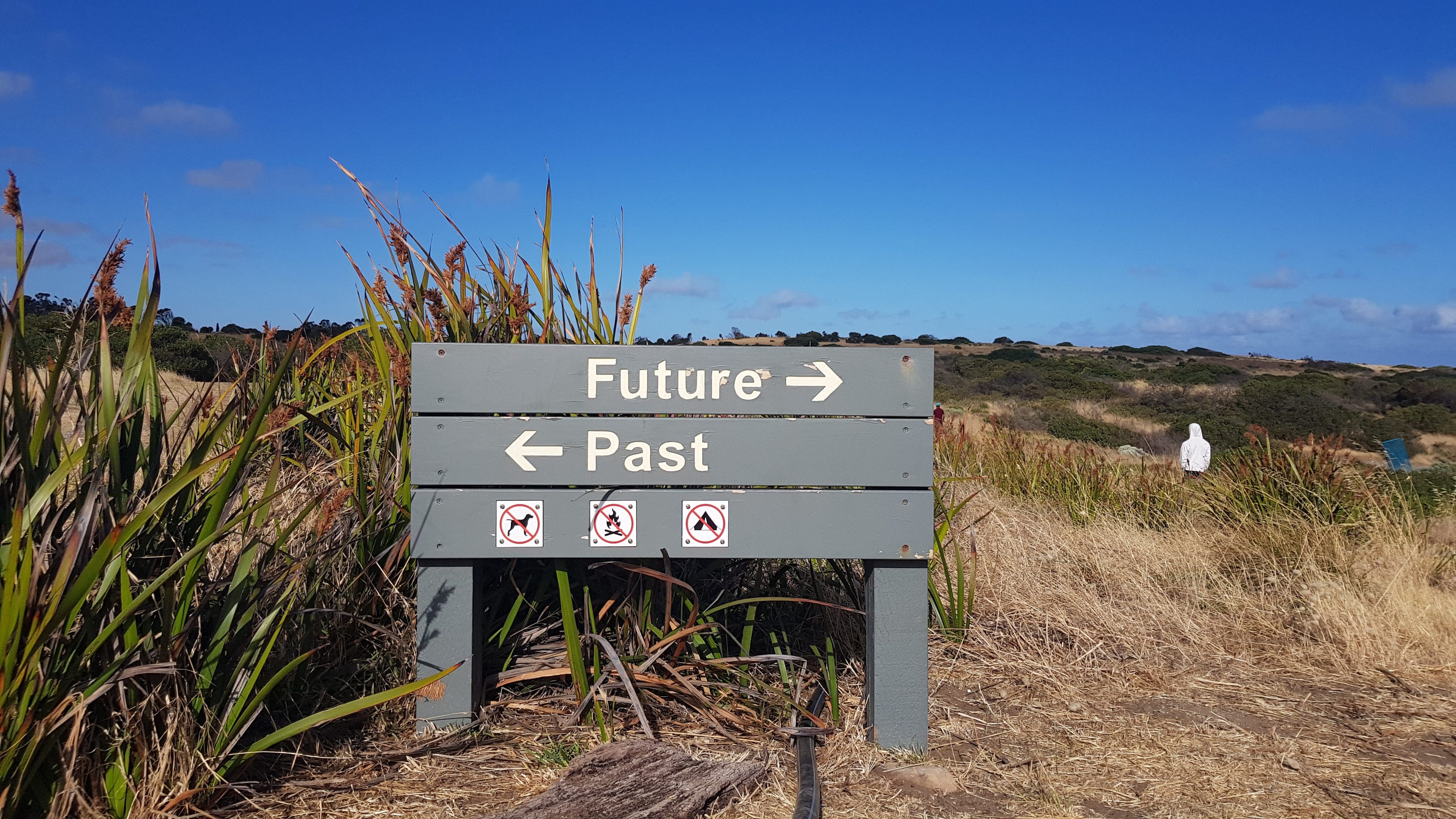 What to do to future-proof your audit practice