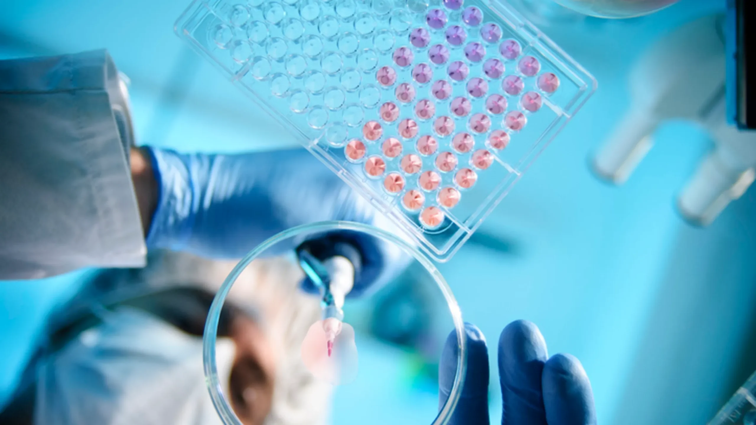 MHA advises Microba Life Sciences on Invivo Clinical acquisition