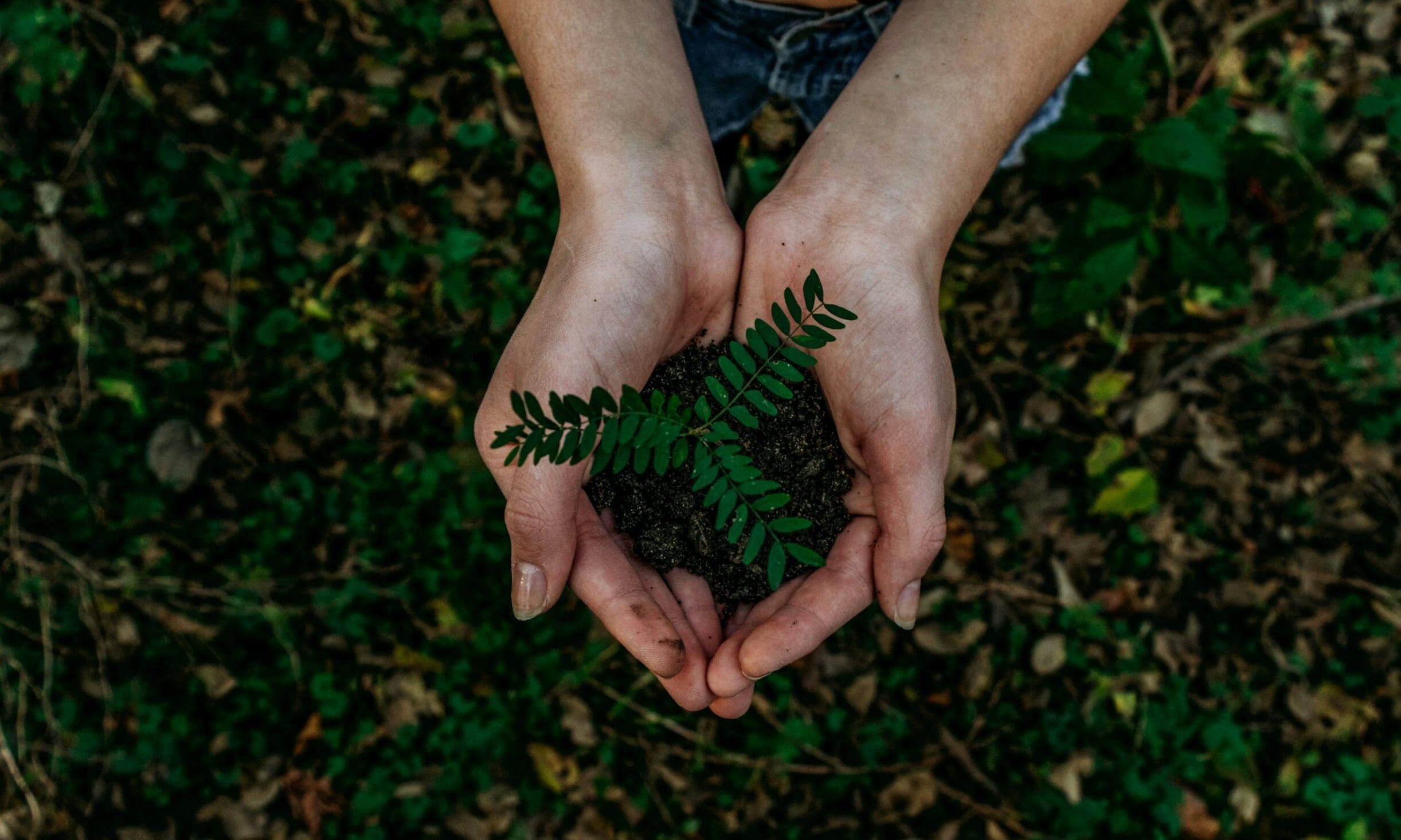 How to make your accountancy practice more sustainable