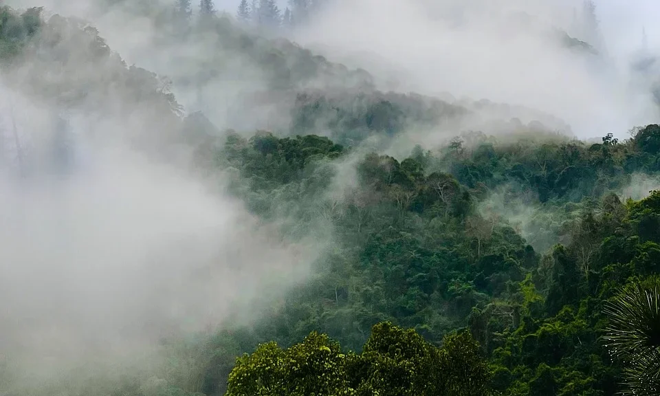 Forvis Mazars’ climate targets validated by SBTi