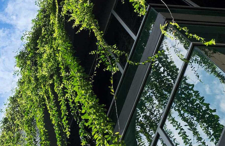 Grant Thornton and Teesside Uni launch applied sustainability apprenticeship