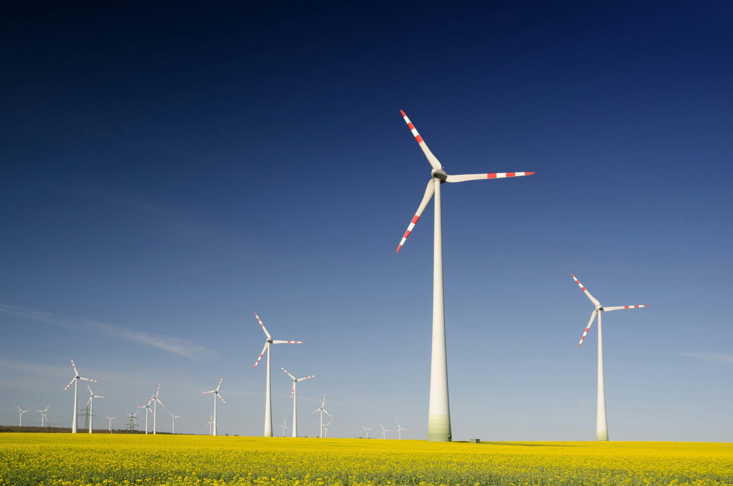 FTSE companies making more sustainability restatements, Deloitte finds 