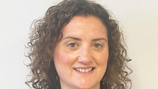 ICAS makes two senior appointments