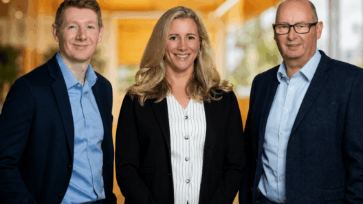The Insolvency Co named administrator for BLB Solicitors
